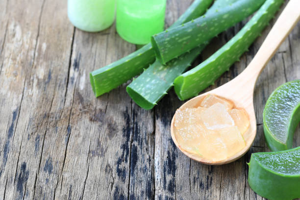 Feuilles d'aloe vera coupées et gel